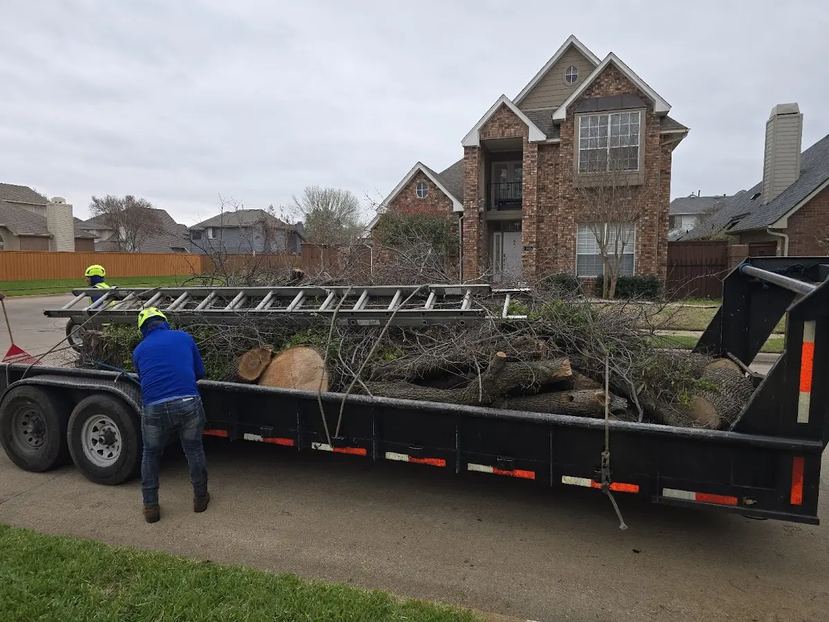 Expert Tree Pest Control with proper safety equipment in Gray Court
